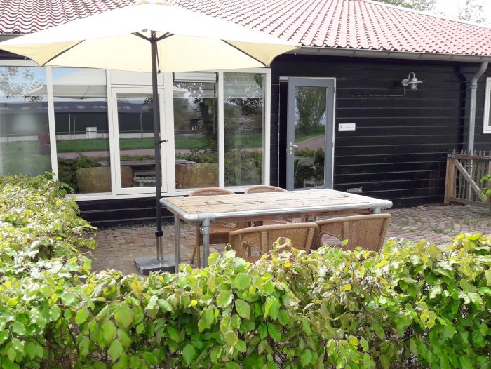 tureluur terras